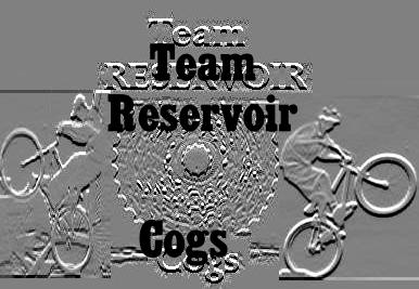 {Team Reservoir Cogs}